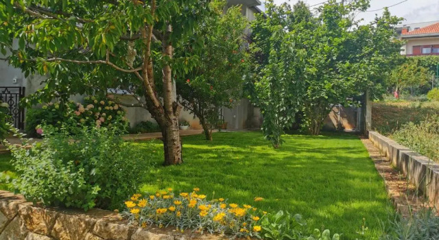 Студия Apartment Adriana