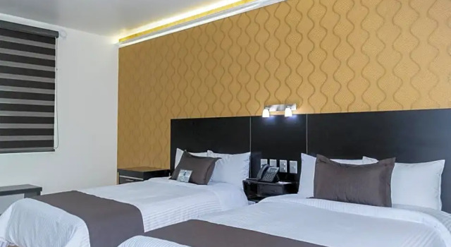 Номер Standard Hotel 5 Inn Plus