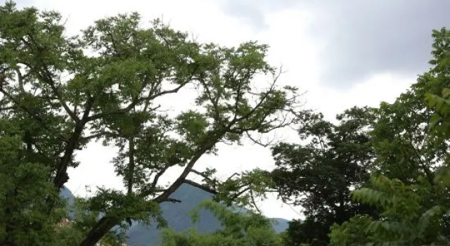 Puzhehei Yidu Homestay (Hehua Daguan Garden), Buchen Sie Hotel Hotels in Yunnan mit Parkplatz, Parkplätze