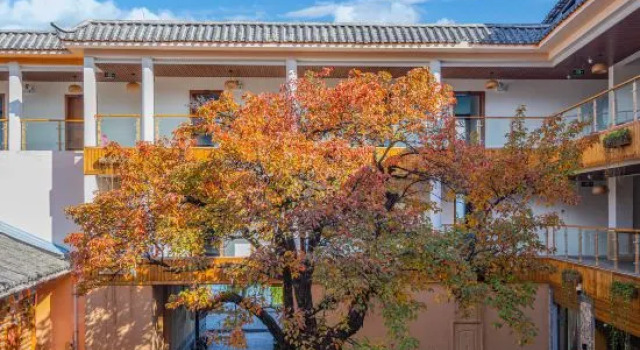 Qihai Tingfeng Inn (Lugu Lake Headquarter)