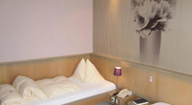 Одноместный номер Standard Flair Hotel Zum Schwarzen Reiter