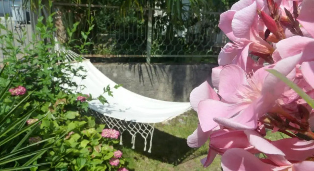 Студия Rose Apartments