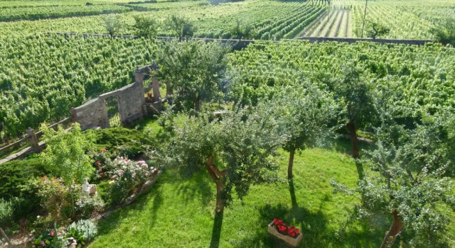 Студия Domaine du Bouxhof
