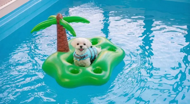 Вилла Gapyeong Highmong Pet-friendly Kids Pool