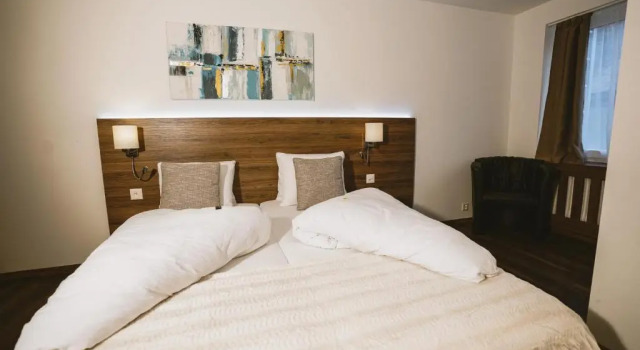 Одноместный номер Standard Hotel Römerhof