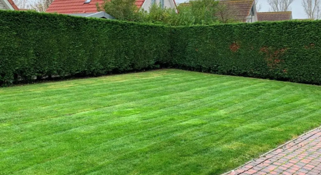 Коттедж Kustverhuur, Park Schoneveld, Zeemeeuw 138