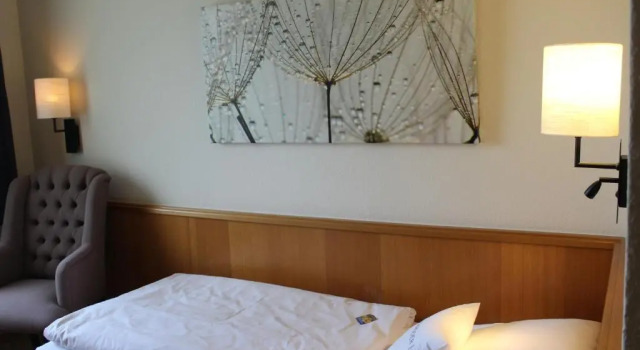 Номер Standard Hotel & Restaurant Schröder