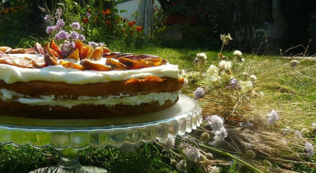 Guest House Dan Kolov, Boek Pension Sevlievo Gabrovo.