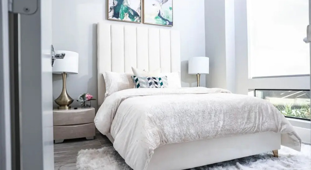 Luxury 3BD Rooftop Home in Dwtwn HTX.