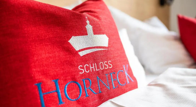Номер Standard Schlosshotel Horneck