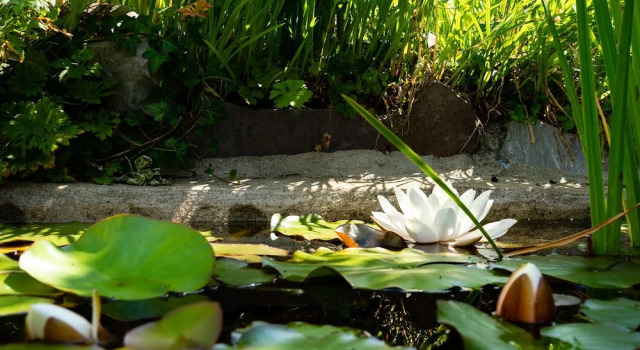 Коттедж 3 Horse Pool Road