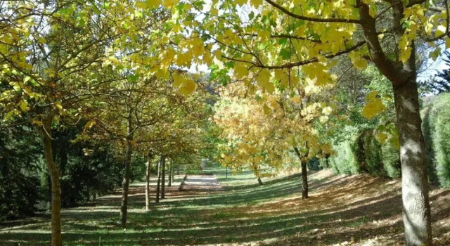 Agriturismo VILLA MOZART nel verde, Varaa Villa Gubbio Umbria