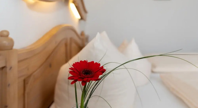 Номер Standard Hotel Landgasthof Schöntag