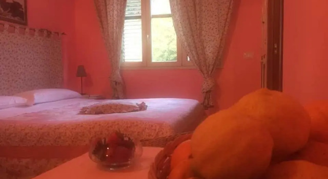 Семейный номер Standard B&B Xenia