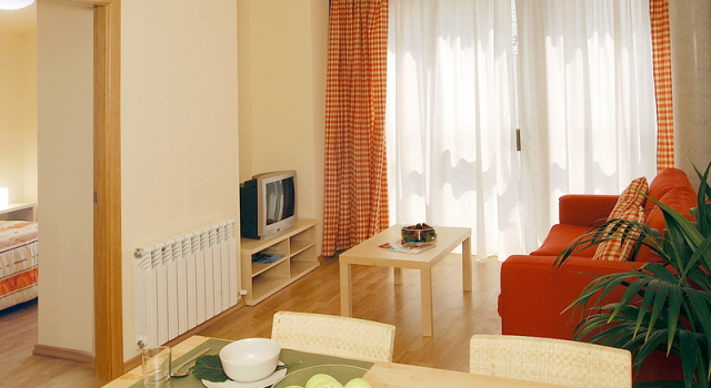 Номер Standard Aparthotel Nou Vielha