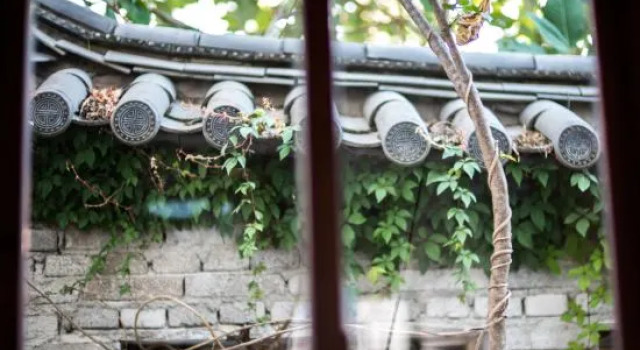 Люкс с 2 комнатами Tuo Tuo Guest House
