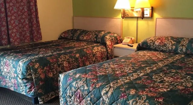 Четырёхместная студия Standard Shaws Komfort Motel