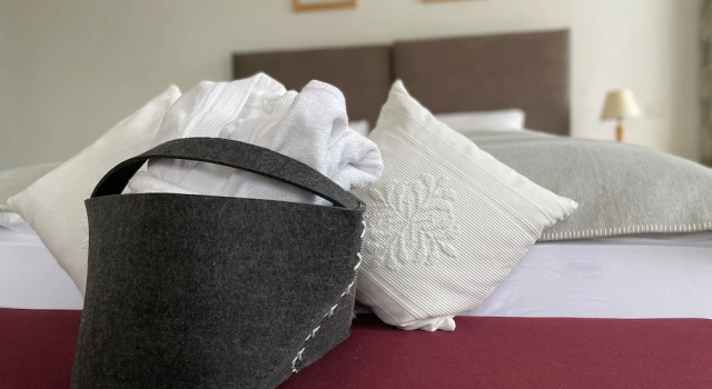 Номер Superior Hotel Bernina