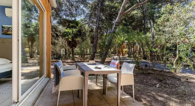 Номер Standard Belambra Clubs Presqu'île de Giens - Riviera Beach Club