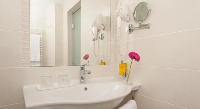 Двухместный номер Business Grand Hotel Coroana