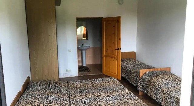 Guest House on Apsny 24a