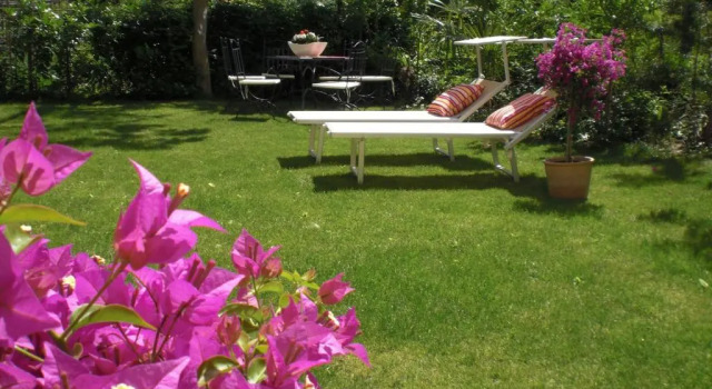 Номер Comfort Residence Diana