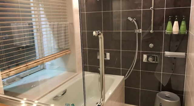 Одноместный номер Deluxe с видом на город Smile Hotel Naha City Resort