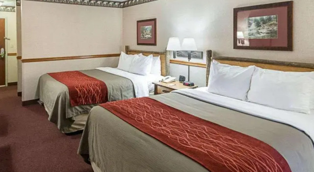Номер Standard Quality Inn & Suites Big Stone Gap