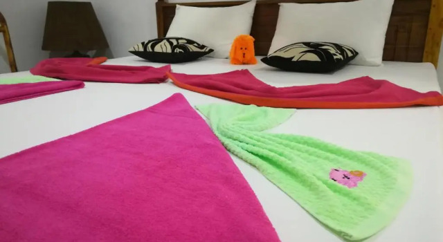 Sigiri Sara Home Stay Nice Village