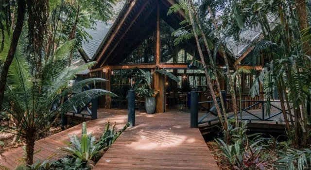 Семейный номер Standard Ferntree Rainforest Lodge