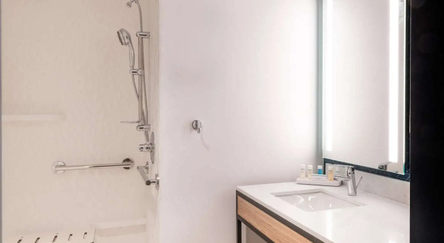 Номер Standard Hilton Garden Inn Flint Downtown