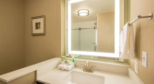 Люкс c 1 комнатой Holiday Inn Express & Suites Denver South - Castle Rock by IHG