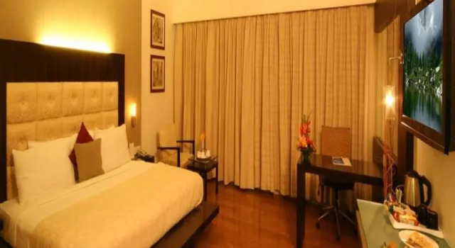 Двухместный номер Standard Krishna Palace Hotel