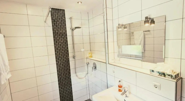 Двухместный номер Standard Hotel Rotes Ross