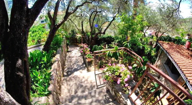 Guest House Elena