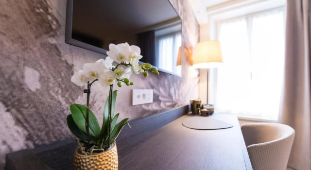 Двухместный номер Standard с видом на озеро Ambassador Boutique Hotel
