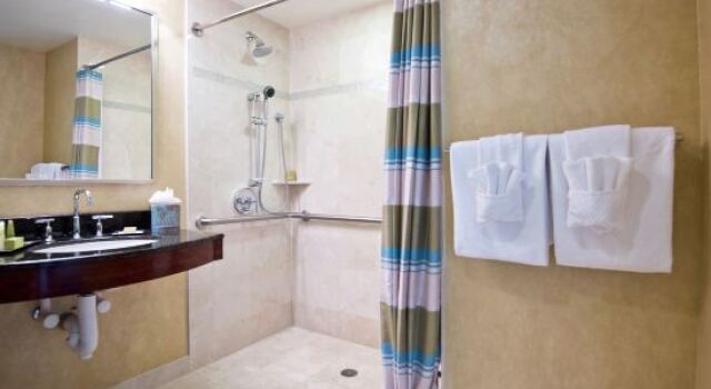 Superior Accessible Suite Hilton Orlando
