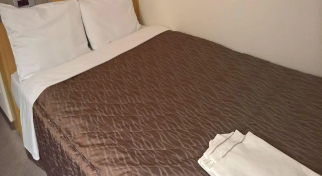 Двухместный номер Standard Tabist Hokkaido Daiichi Hotel Sapporo
