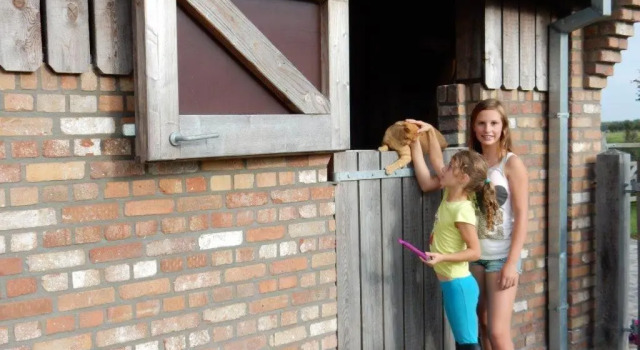 Коттедж с 4 комнатами Domein Rietvelde