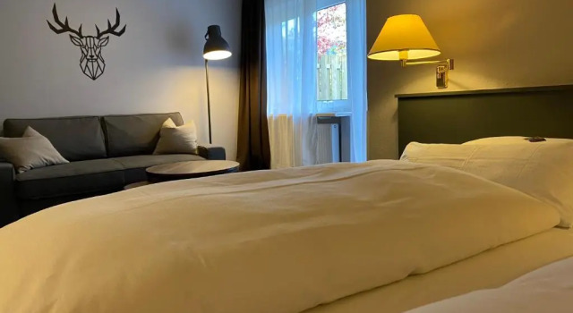 Номер Superior Hotel Haus am Hochwald
