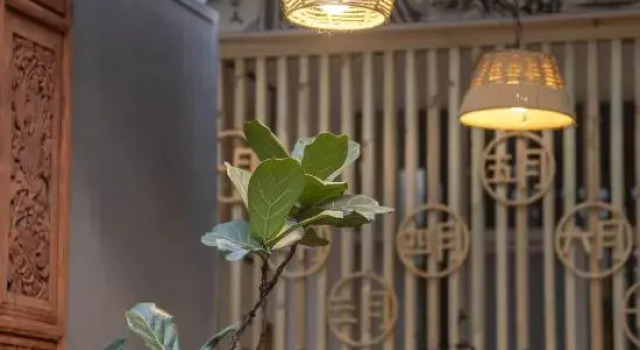 Dali Spring Four Seasons Homestay (Gucheng Nanmen Branch)