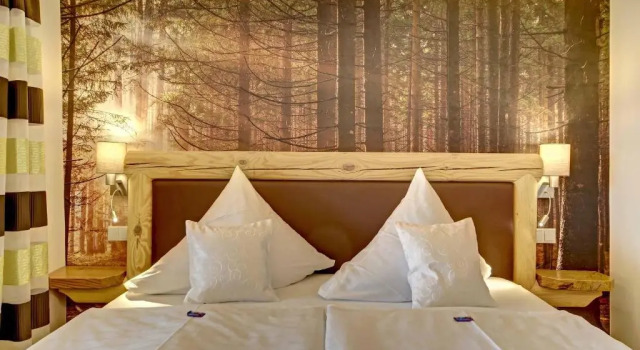 Полулюкс Hotel Hirschenstein