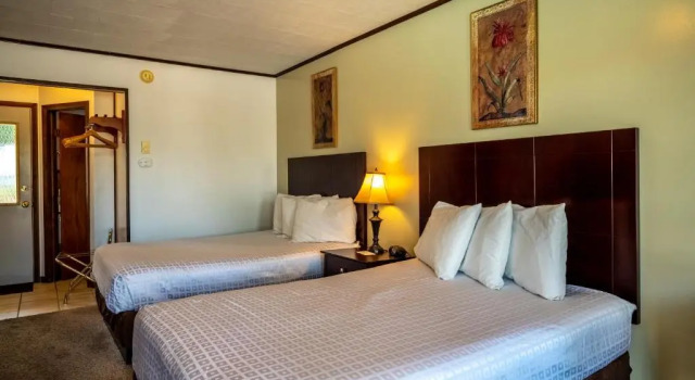 Двухместный номер Standard с видом на бассейн Lake N Pines Motel