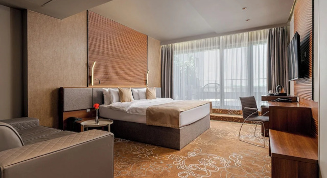 Двухместный номер Executive RIN Airport Hotel