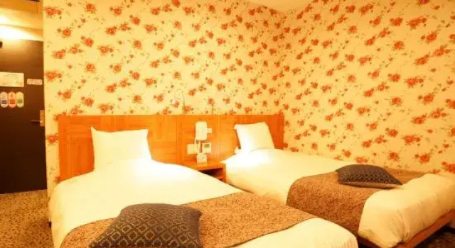 Двухместный номер Standard Hotel Ookura