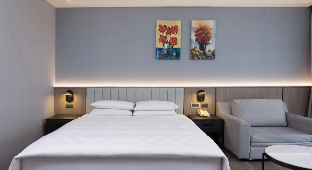 Двухместный номер Standard E-DA Skylark Hotel