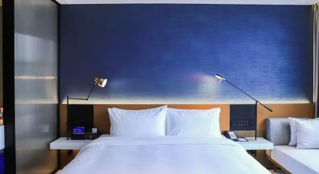 Двухместный номер Standard Novotel Dongguan Songshan