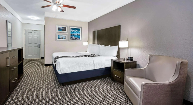 Двухместный номер Accessible Forest View La Quinta by Wyndham Conroe