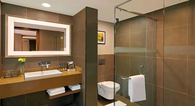 Полулюкс Novotel Ahmedabad