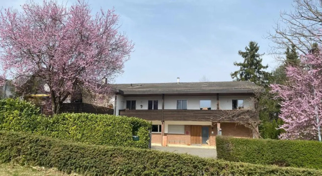 Апартаменты Apartments in Leafy Suburb